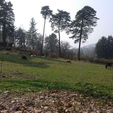 Agriturismo Villa Brugolta 拉韦纳蓬泰特雷萨 外观 照片