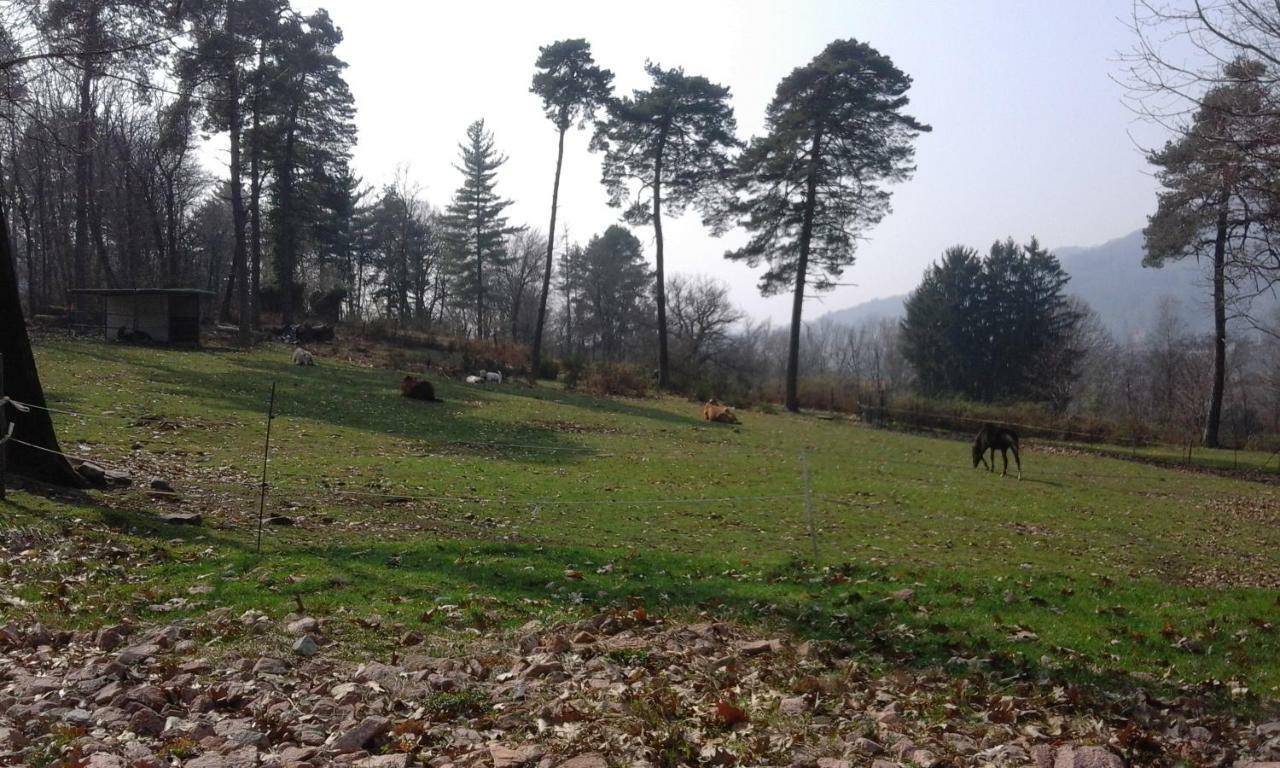 Agriturismo Villa Brugolta 拉韦纳蓬泰特雷萨 外观 照片