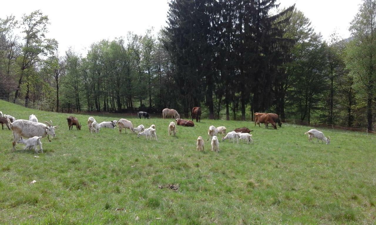 Agriturismo Villa Brugolta 拉韦纳蓬泰特雷萨 外观 照片